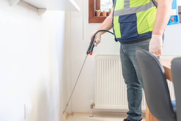 Best Residential Pest Control  in Lanai City, HI